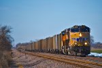 UP 8146